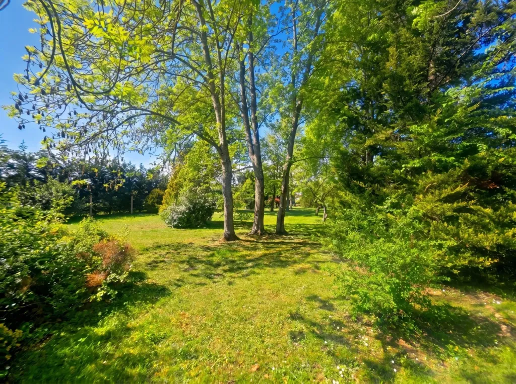 garden