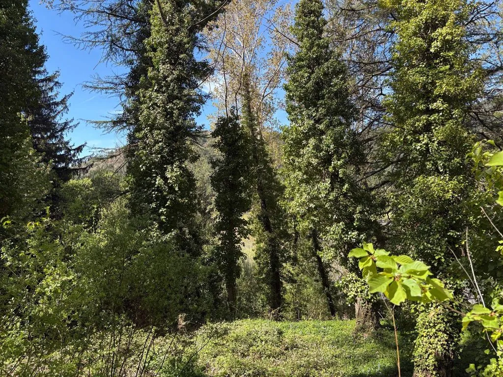Aed - Luxury Hotel with 14 Rooms in Cercedilla