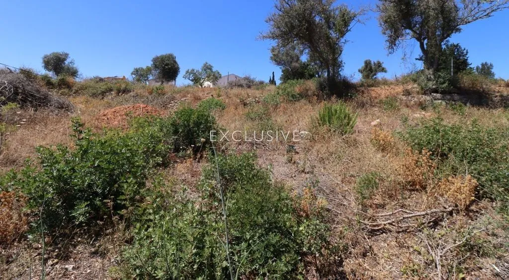 Garden - Development Land with Sea Views in Carvoeiro