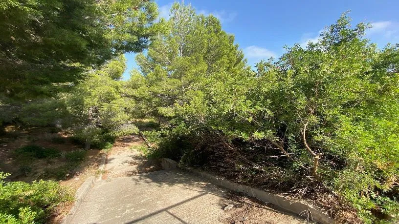 Jardin - Plot with Development Potential in Mont-Roig del Camp