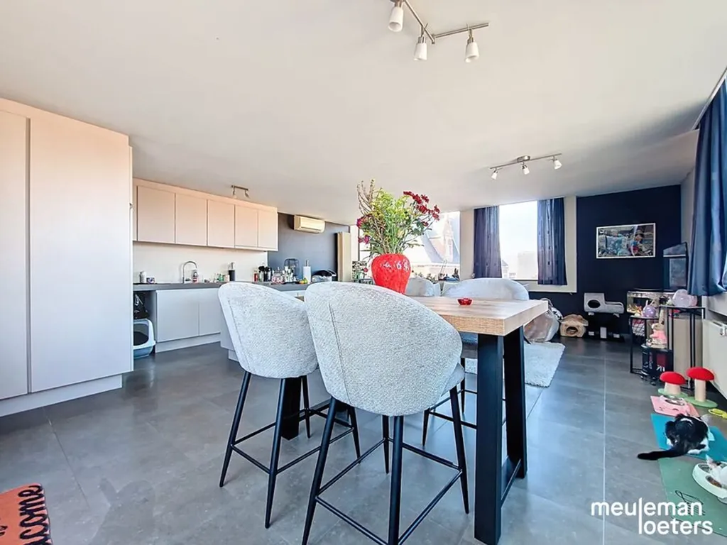Salle à manger - Duplex Lumineux avec Terrasse au Centre-Ville
