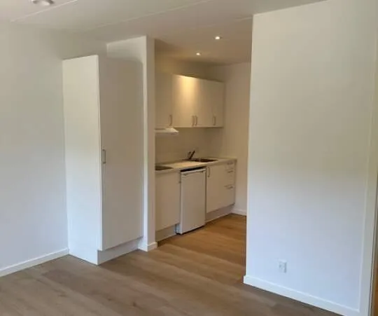 Cucina - 1-Bedroom Flat in Esbjerg Centre