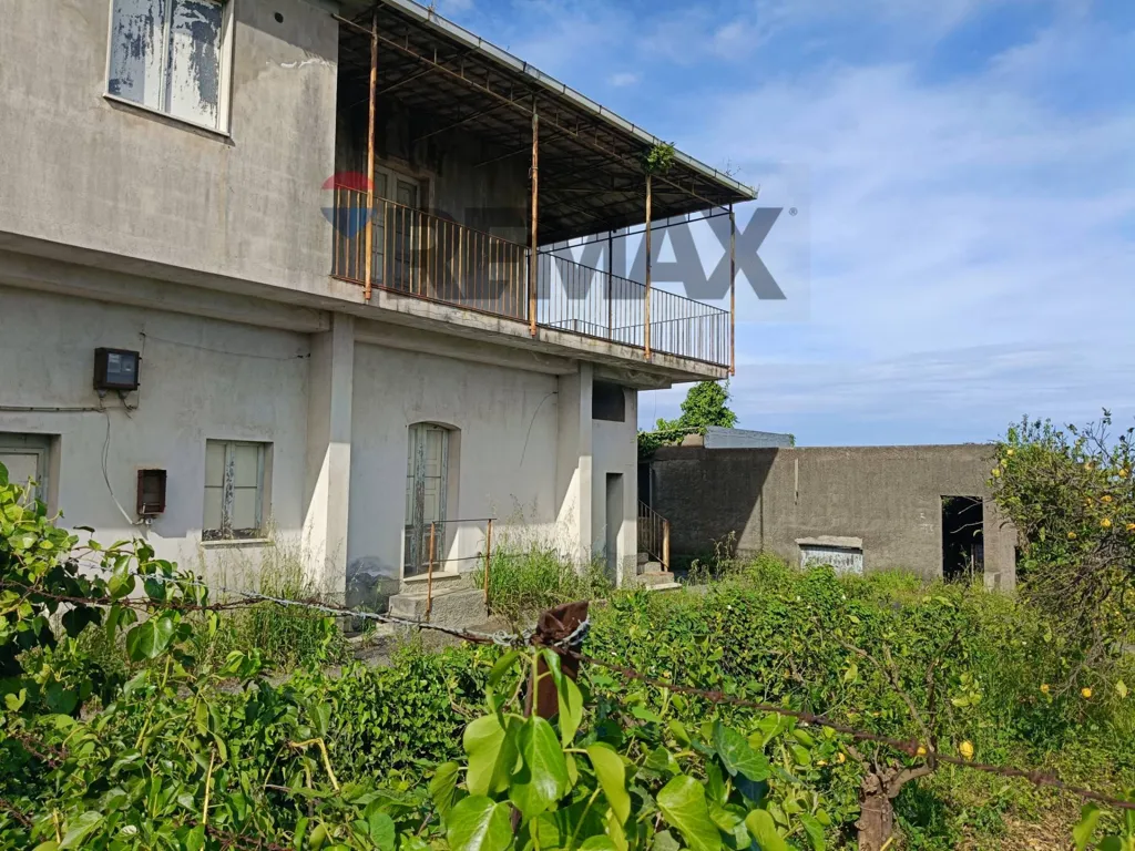Extérieur - Agricultural Estate with Lemon Grove in Mascali