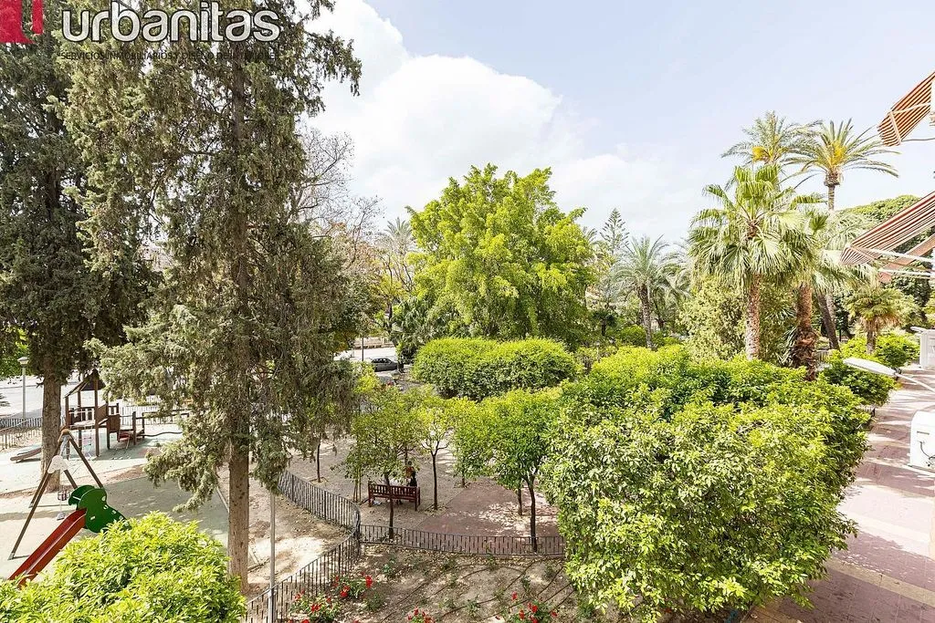 Jardin - Furnished Flat with Terrace in Vistabella