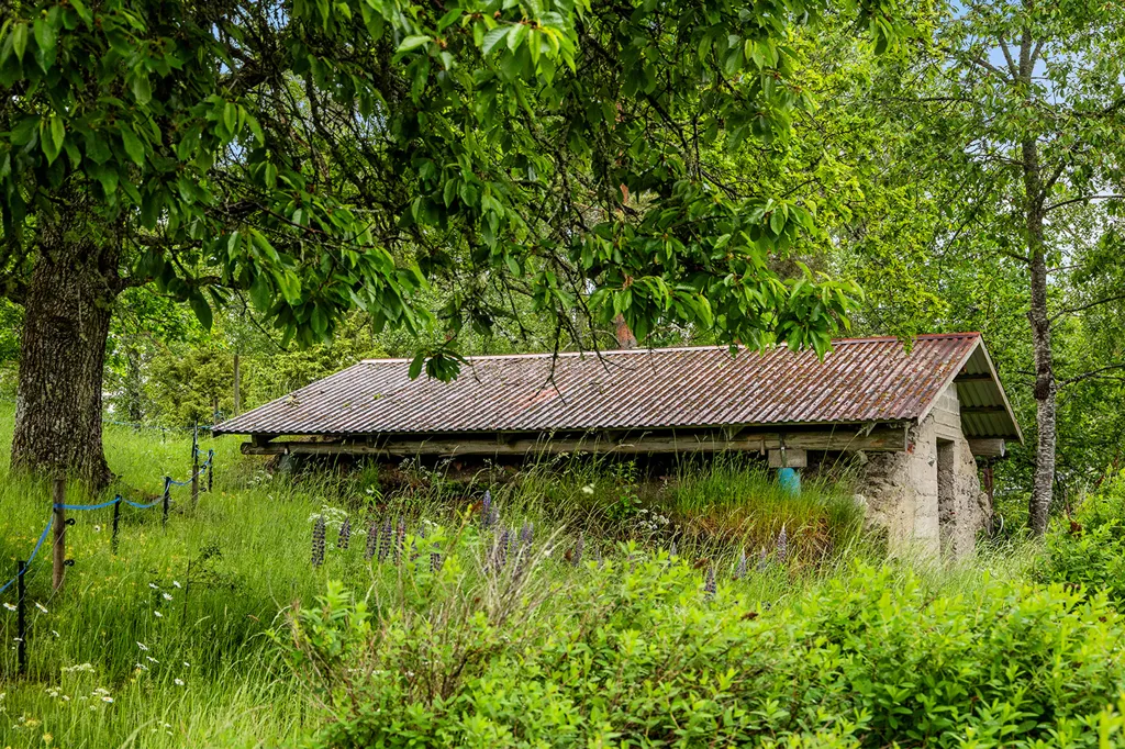 Exterior - Complete Horse Farm with Residence in Rural Area
