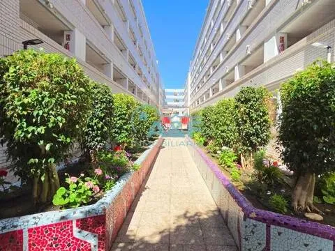 Jardin - T2 Apartment with Pool in Marina d'Or