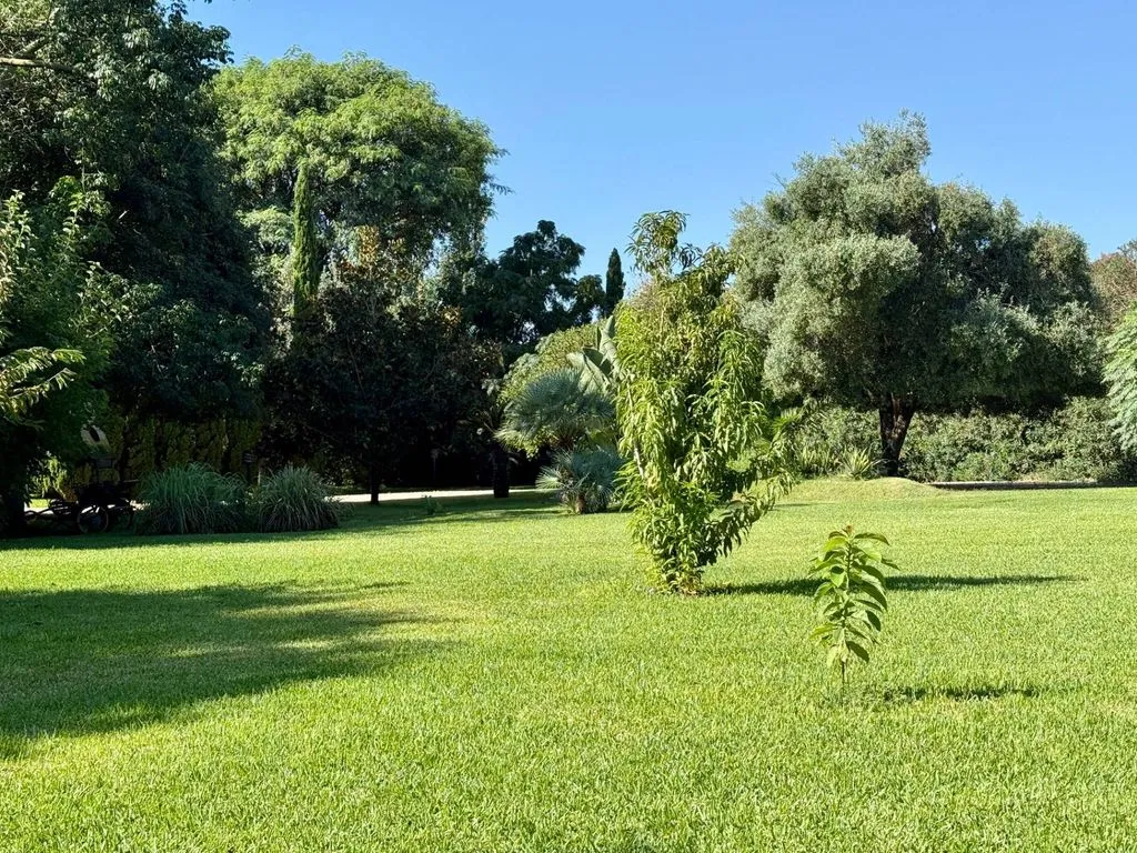 Jardin - Luxury Villa with Two Residences in Ondara