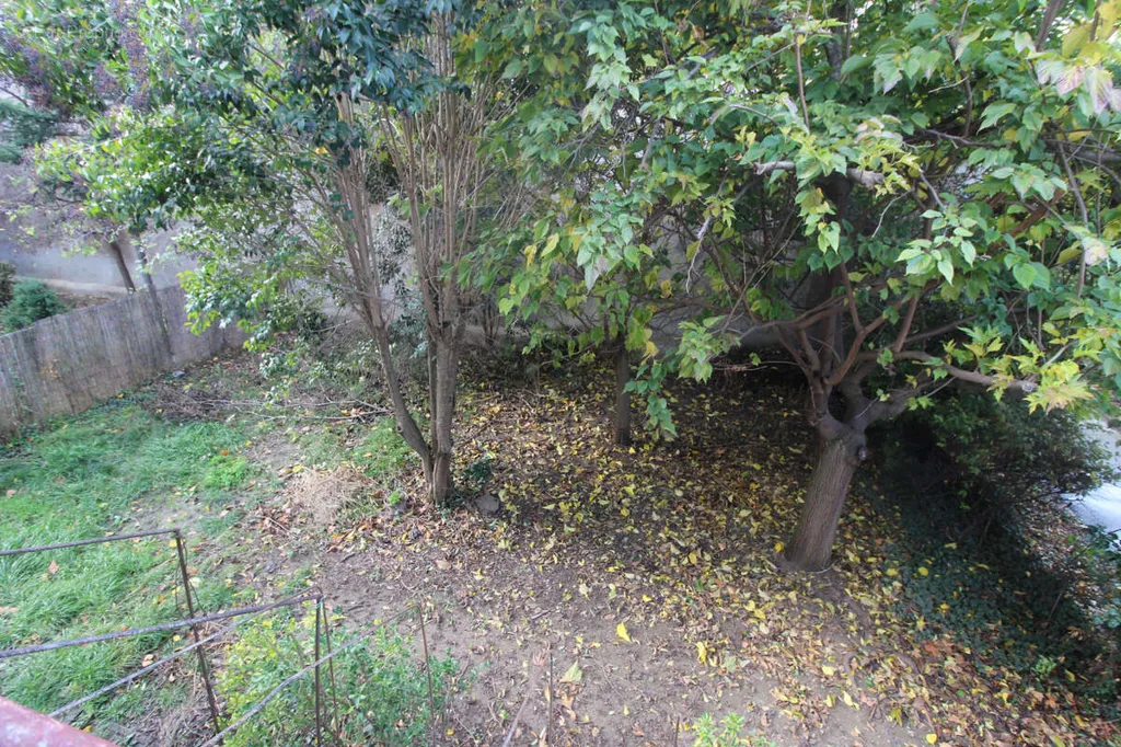 Aed - Traditional Villa with Garden in Limoux Centre