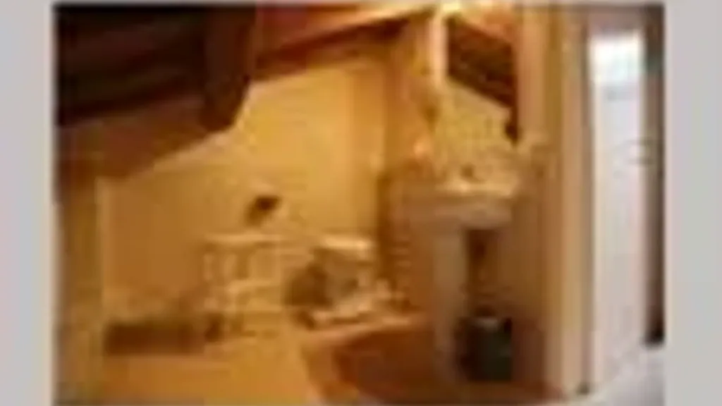 Vannitoad - Villa with Pool near Forte Dei Marmi