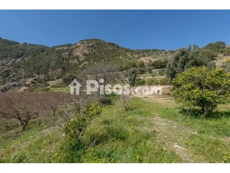 Giardino - Rustic Finca with Mountain View in Cónchar