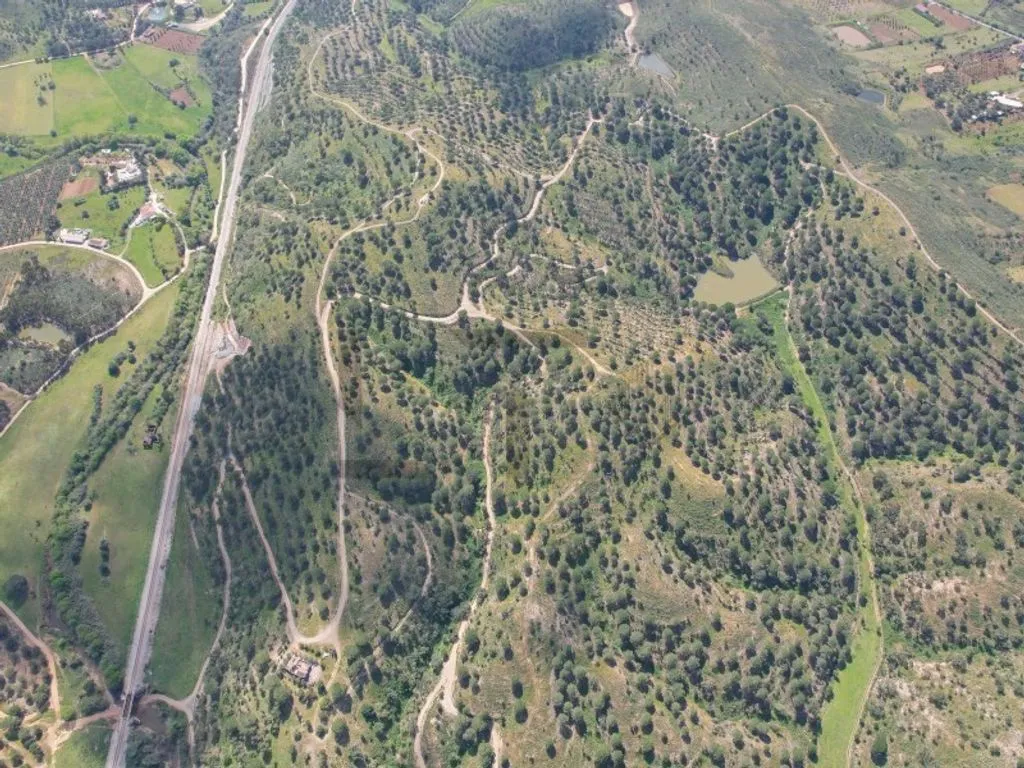 land_plot