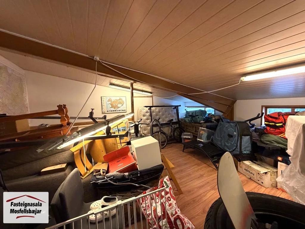 Toad - Industrial Unit with Storage Loft in Reykjavik