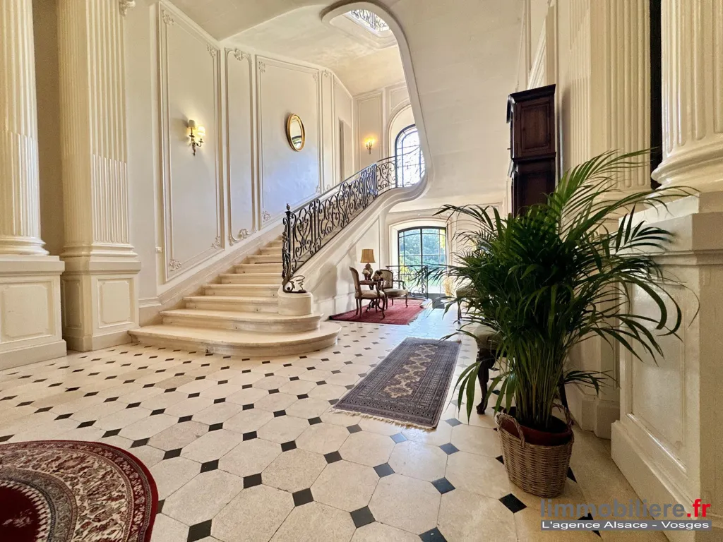 Ingresso - Luxury Flat with Park Views in Saint-Dié-des-Vosges