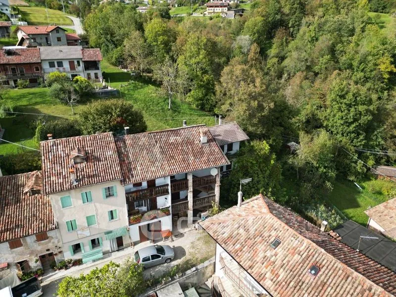Aerial - Triplex with Garden in Cesiomaggiore Centre