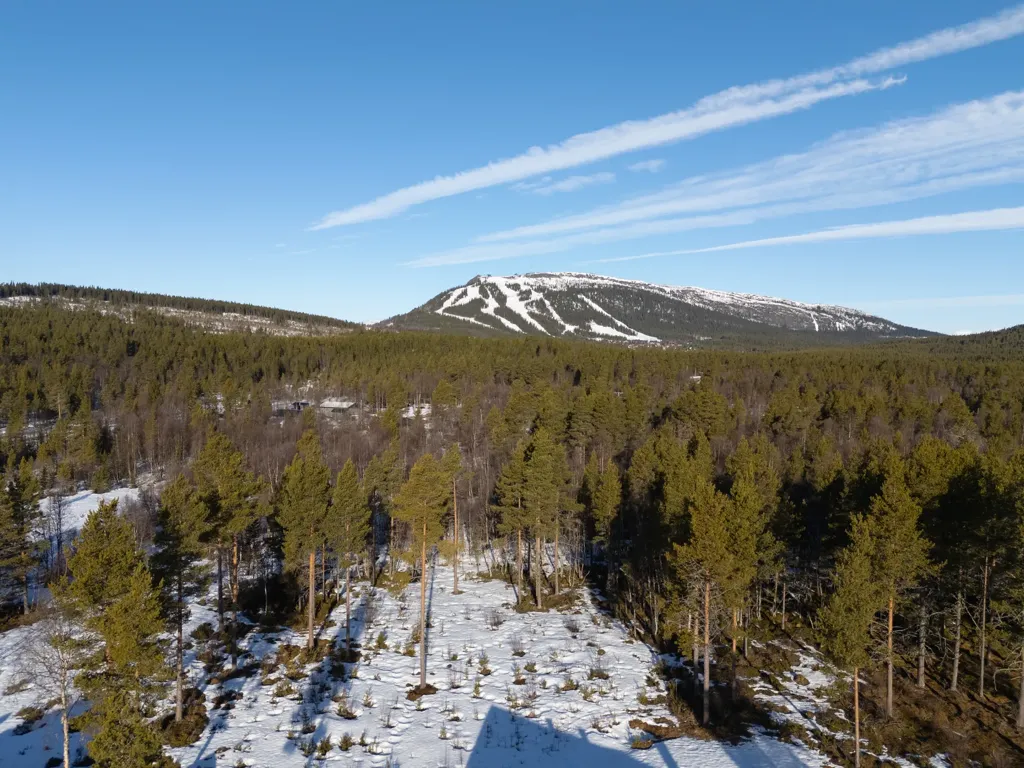 Corner Plot with Ski Access in Ljusnedal