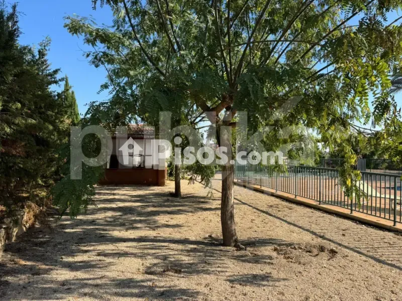 Jardin - Historic Villa with Archaeological Setting in Elche