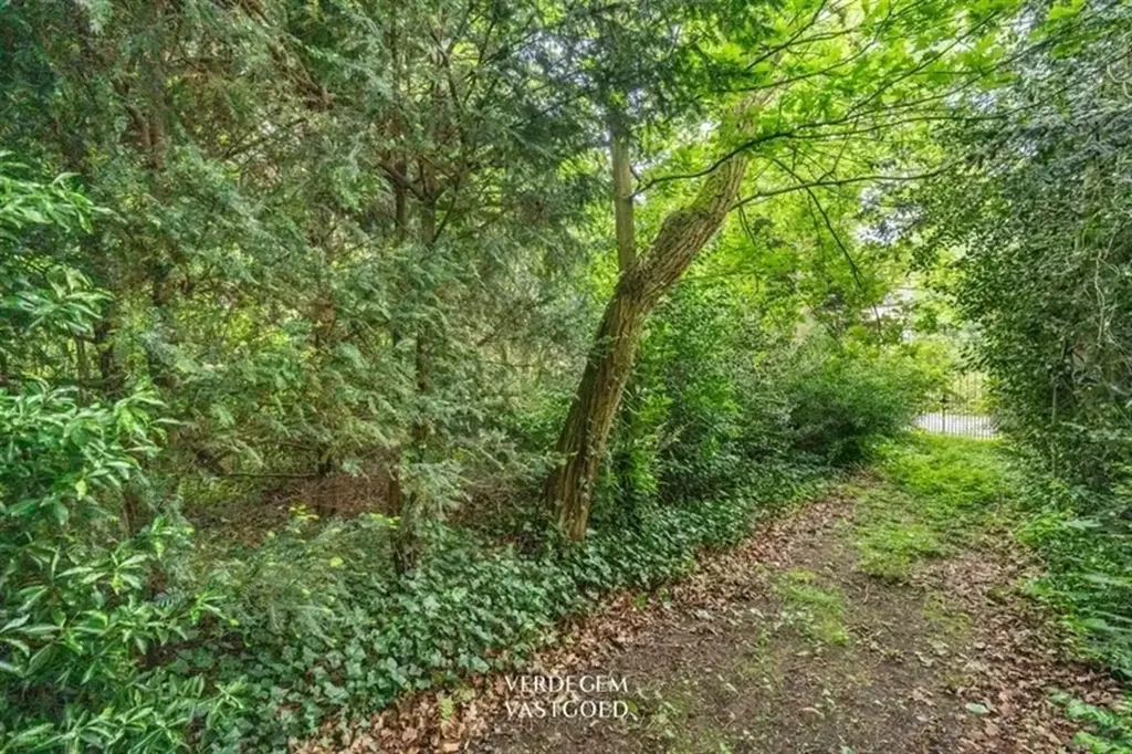 Jardin - Terrain pour Construction Centrale à Zelzate