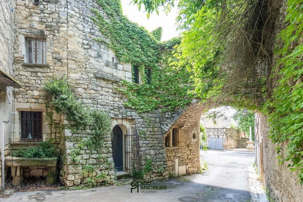 Aed - Authentic Château House near Uzès