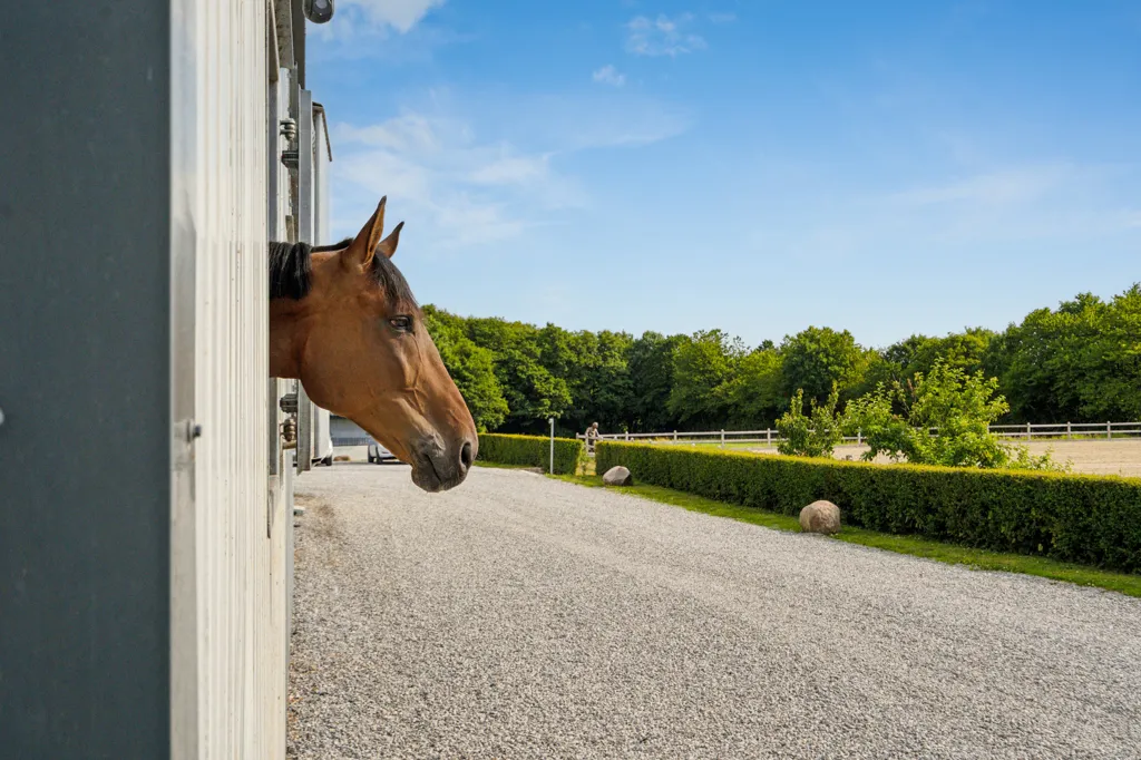 Extérieur - Equestrian Estate with Spa in Vinding