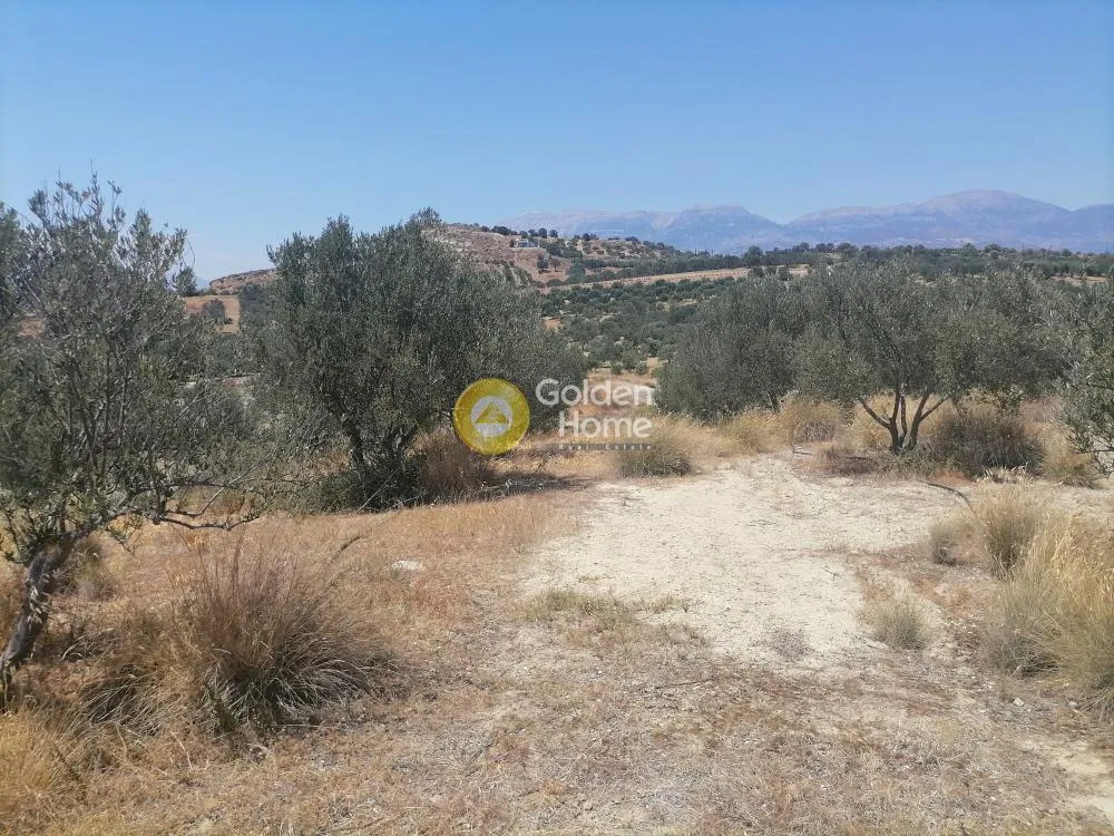 Garden - Buildable Plot with Olive Trees in Phaistos