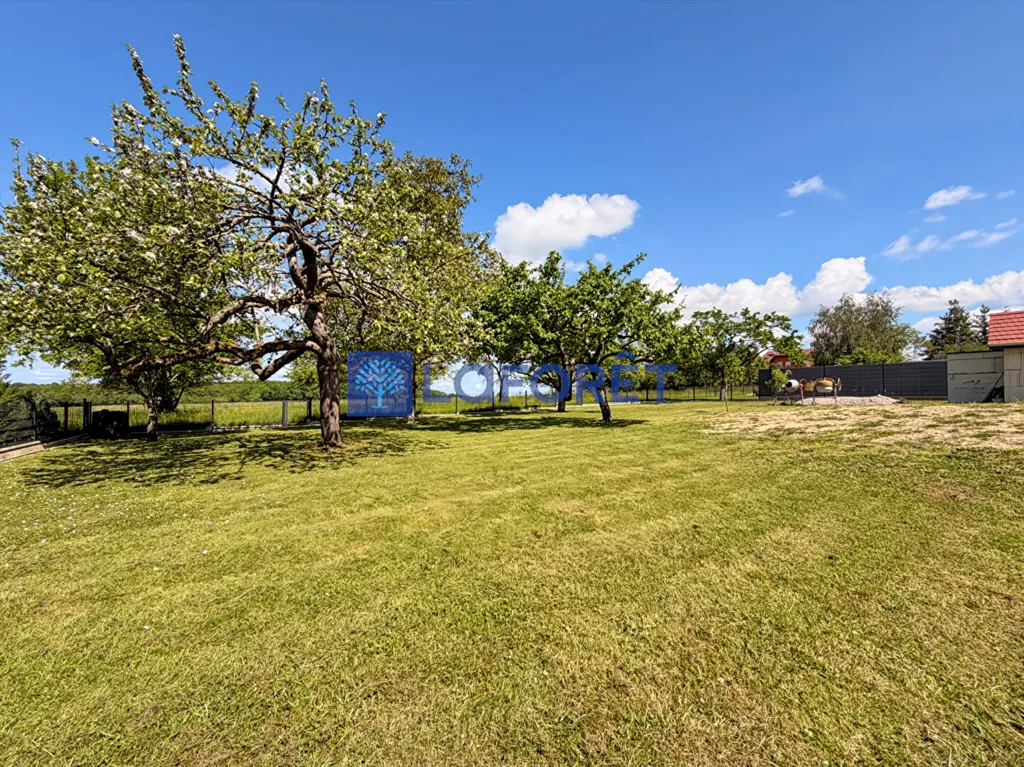 Aed - Spacious House with Pool in Adamswiller