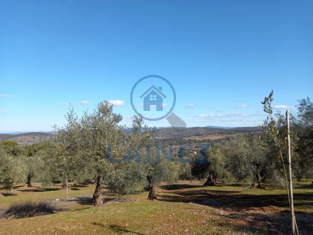 Jardin - Country House with Mountain Views in Villanueva del Rey