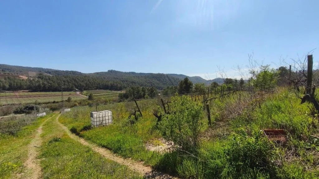 Aed - Boutique Vineyard with Winery in Priorat