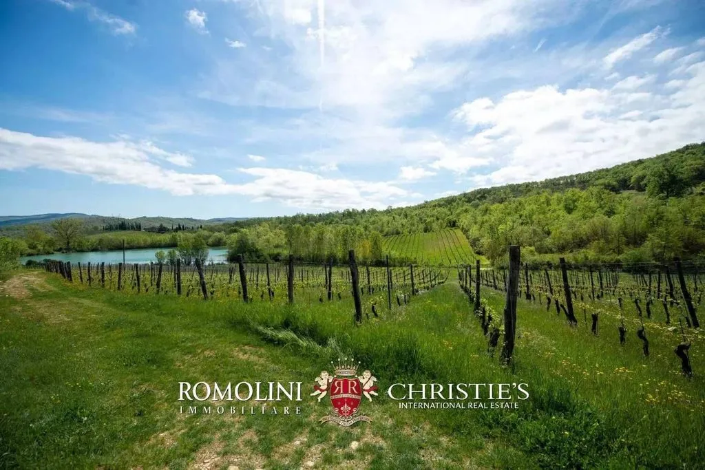 Jardin - Vineyard Estate with Chianti DOCG in Bucine