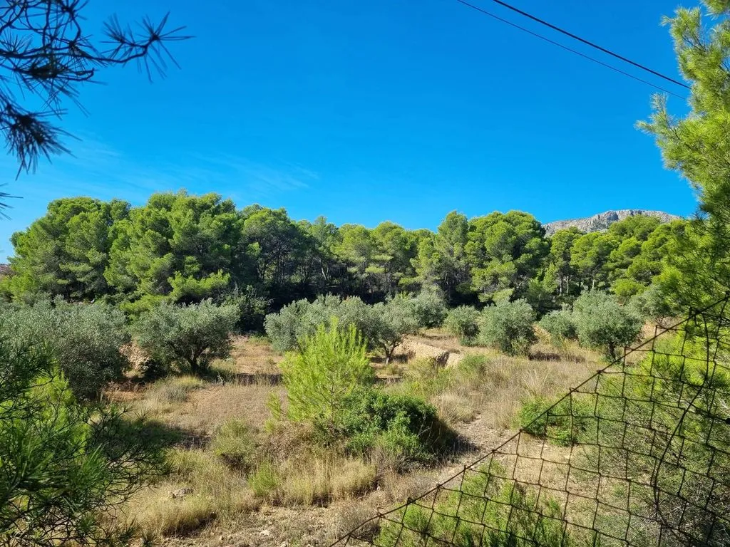Giardino - Rustic Plot with Sea Views in Garduix, Calpe