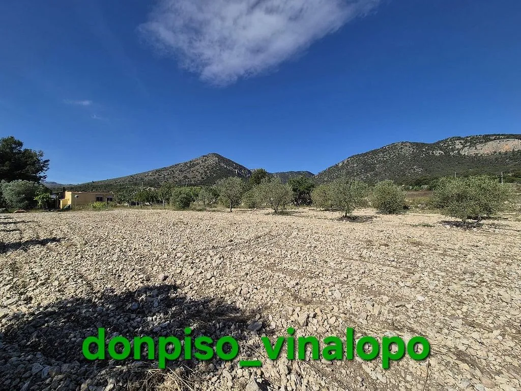 Jardin - Rural House with Pool in Monóvar