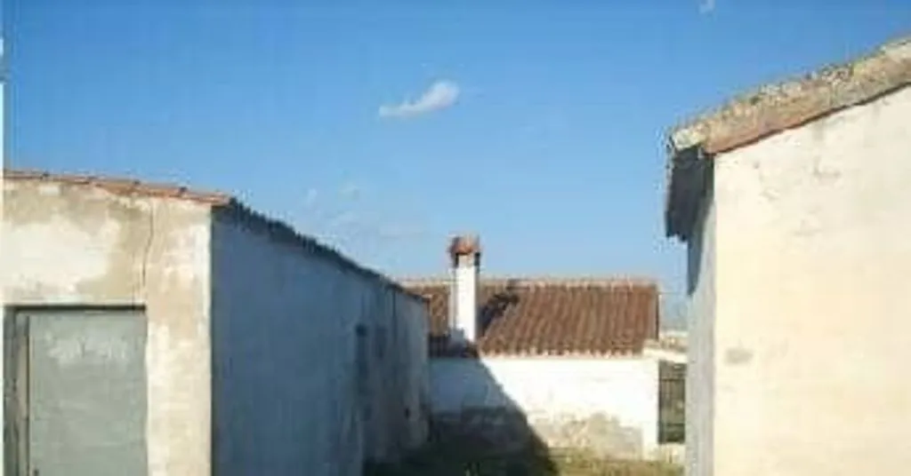 Jardin - Rustic Land with Security in Ontinyent