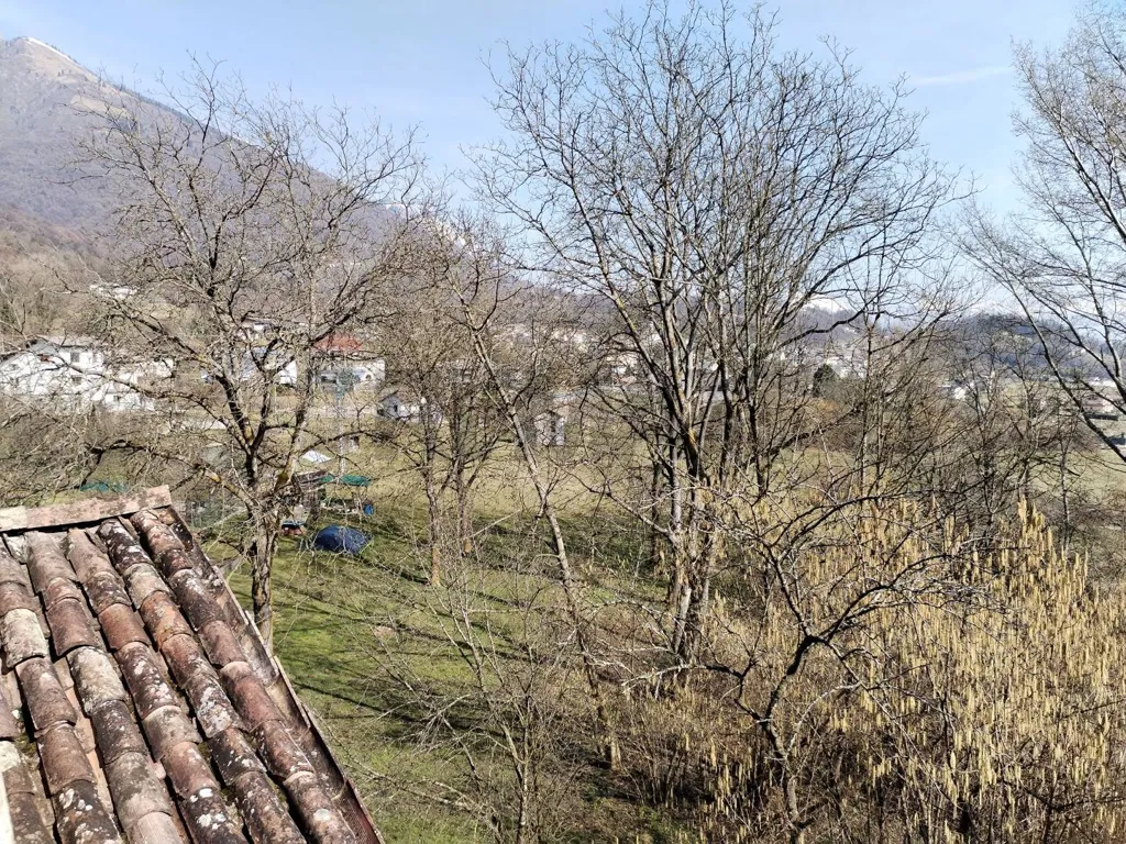 Terrazza - Rustic-Style House with Terrace in Cesiomaggiore