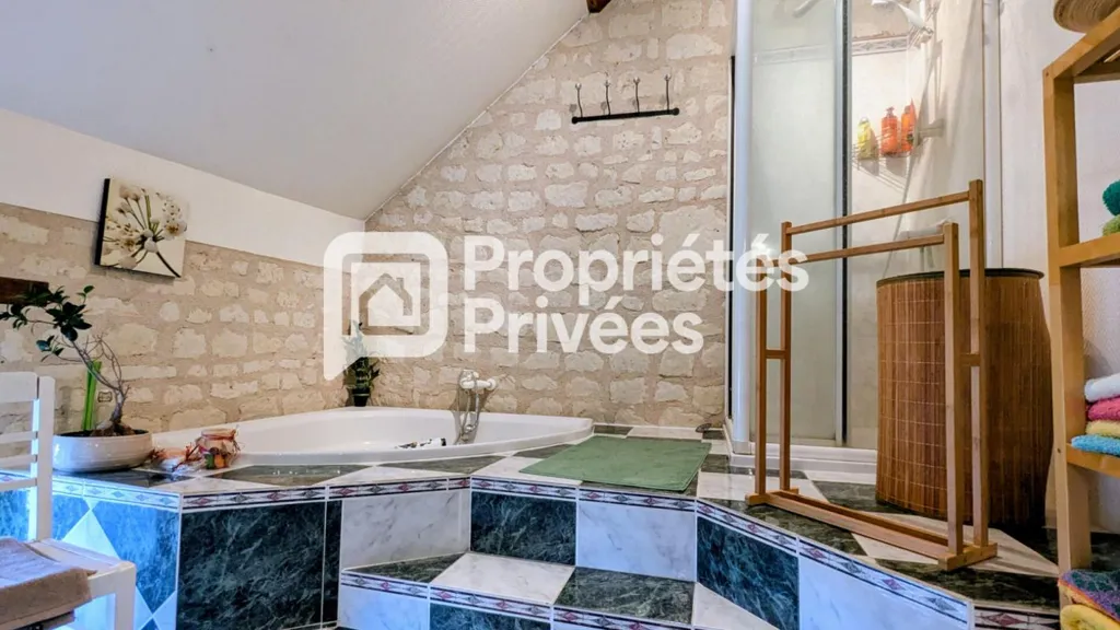 Vannitoad - Luxury Farmhouse with Pool in Chinon
