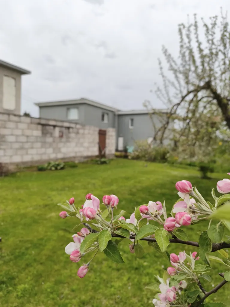 Giardino - Cottage with Garden in Suburb