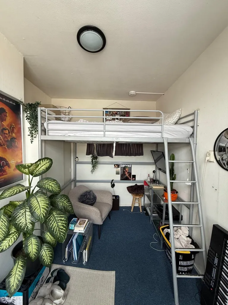 Camere da letto - Charming Room in Groningen's Green Area