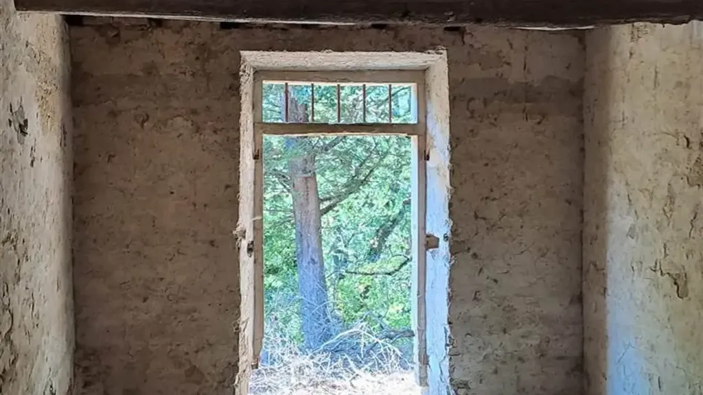 Toad - Rustic Farmhouse with 5000m² Land in Vicchio