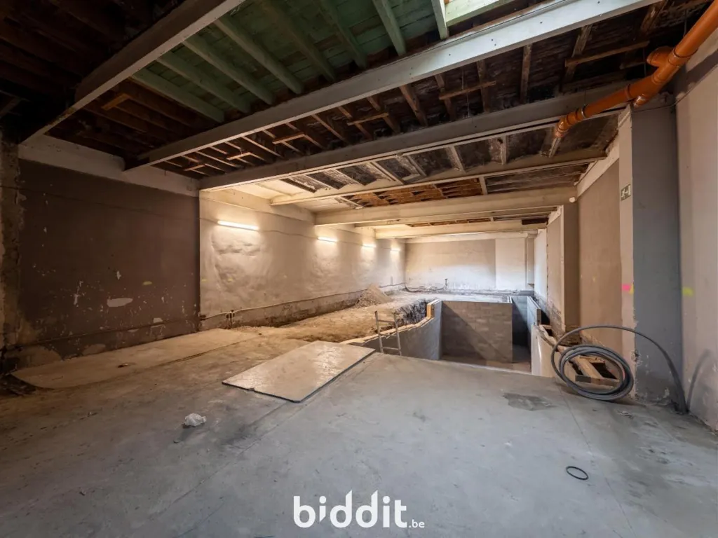Toad - Commercial Ground Floor in Liège