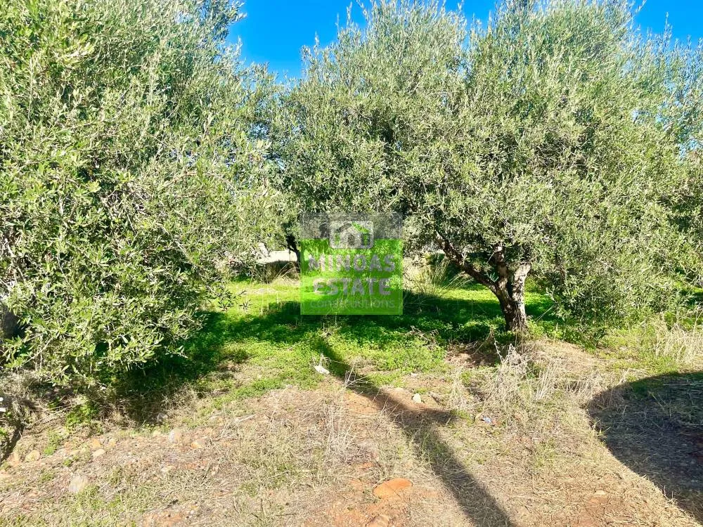 Aed - Corner Plot with Sea View in Tavronitis