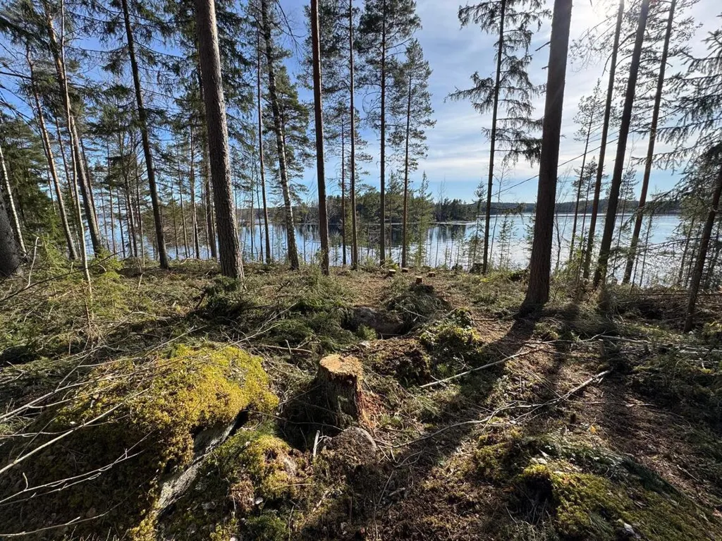 Aed - Lakefront Plot with 81m Rive in Päijänne