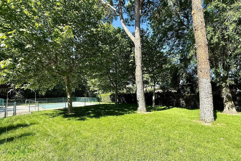 Garden - Penthouse with Pool in Talamanca de Jarama