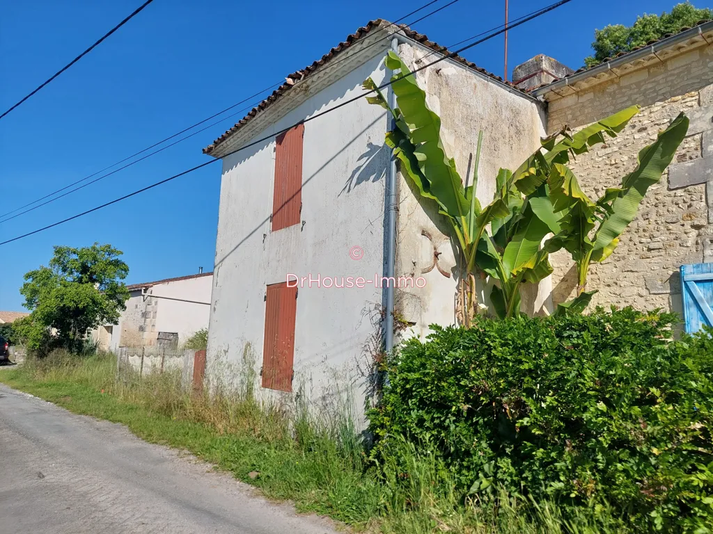 Extérieur - Maison en Pierre à Rénover à Cozes