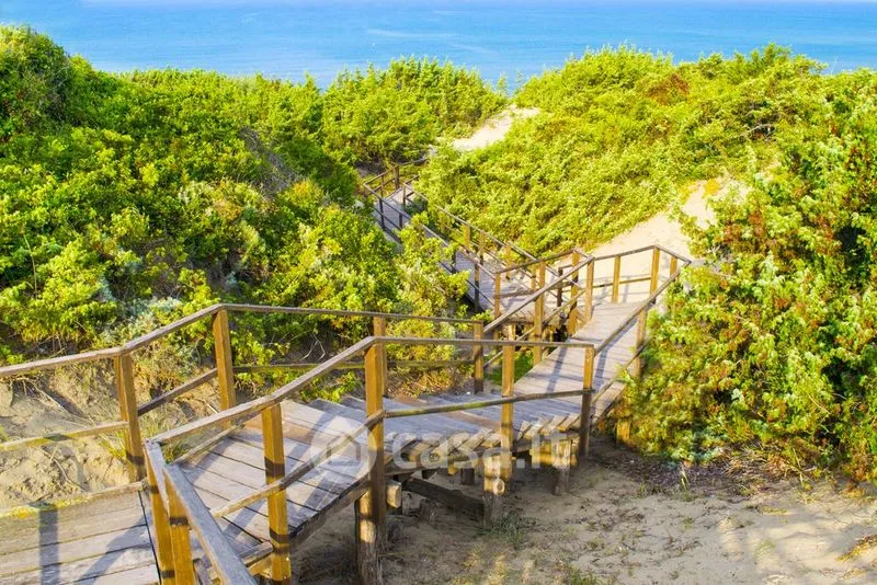 Toad - Apartment with Pool in Sabaudia
