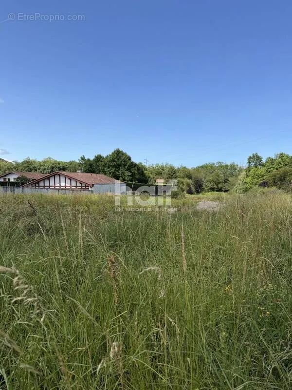 Jardin - Terrain Constructible à Bidart, Quartier de l'Uhabia