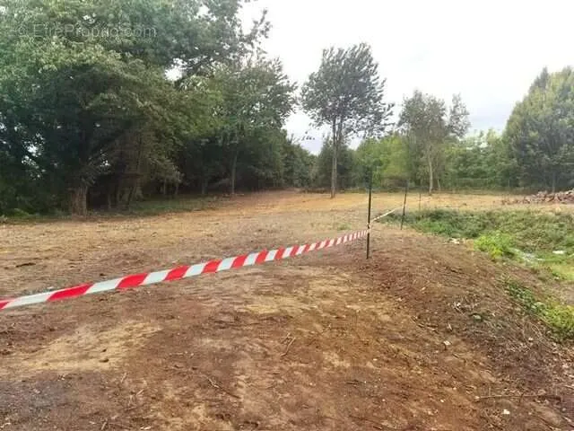 Giardino - Constructible Plot with Countryside View in Eth