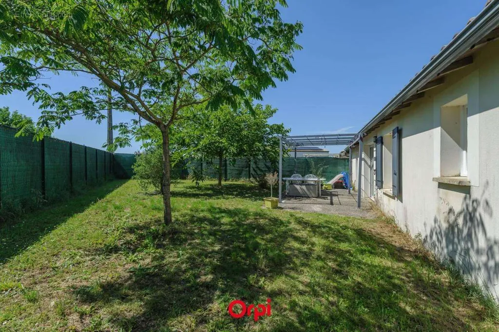 Jardin - Maison de Plain-pied avec Jardin à Aigrefeuille