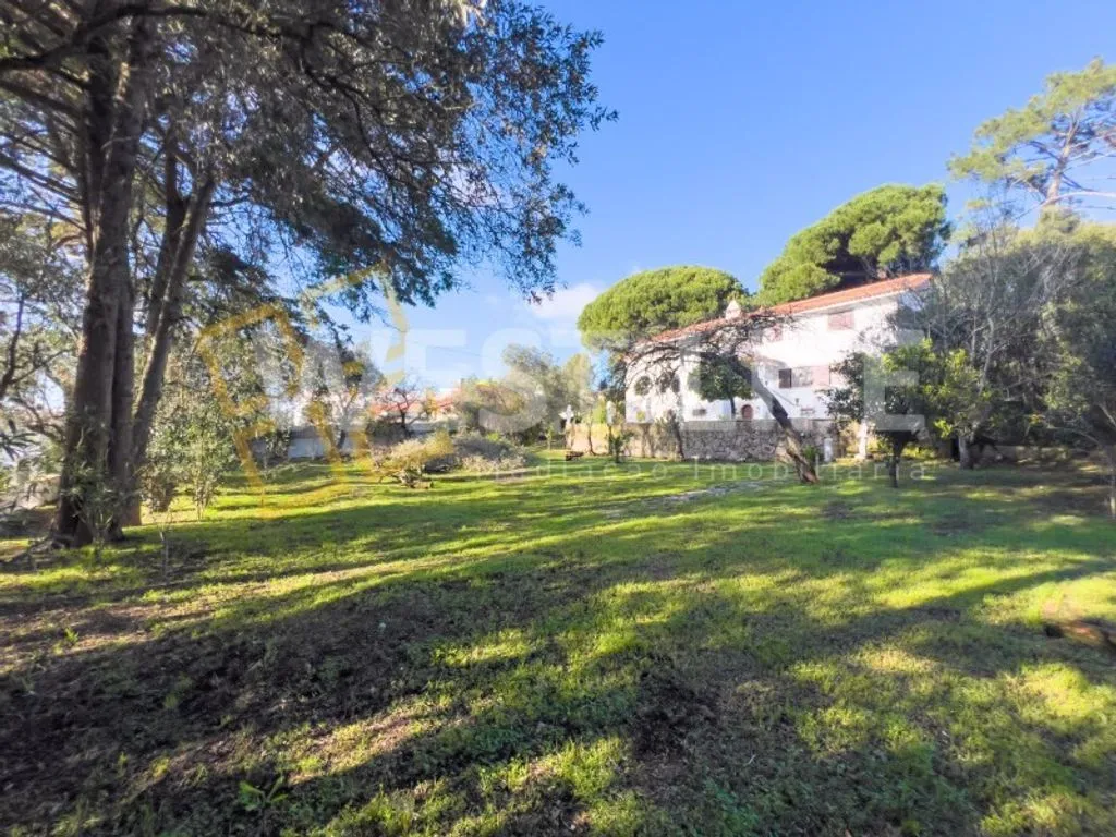 Jardin - Luxury Villa with Garden in Mafra