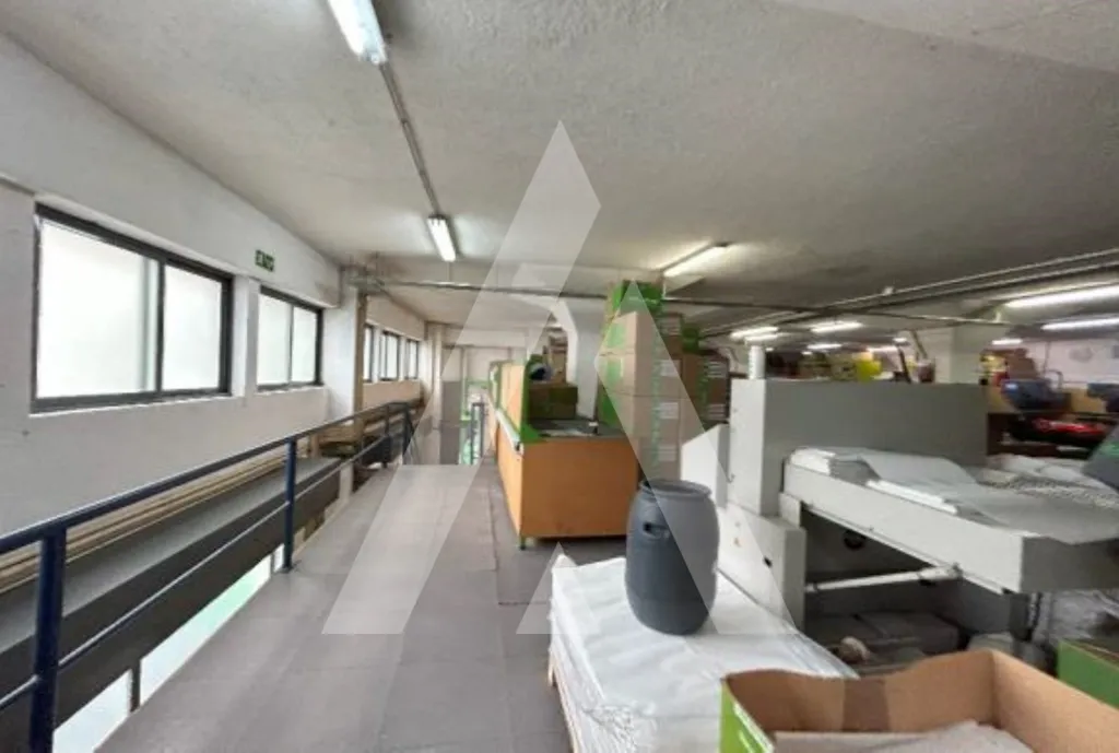 Toad - Multifunctional Industrial Warehouse in Marvila, Lisbon