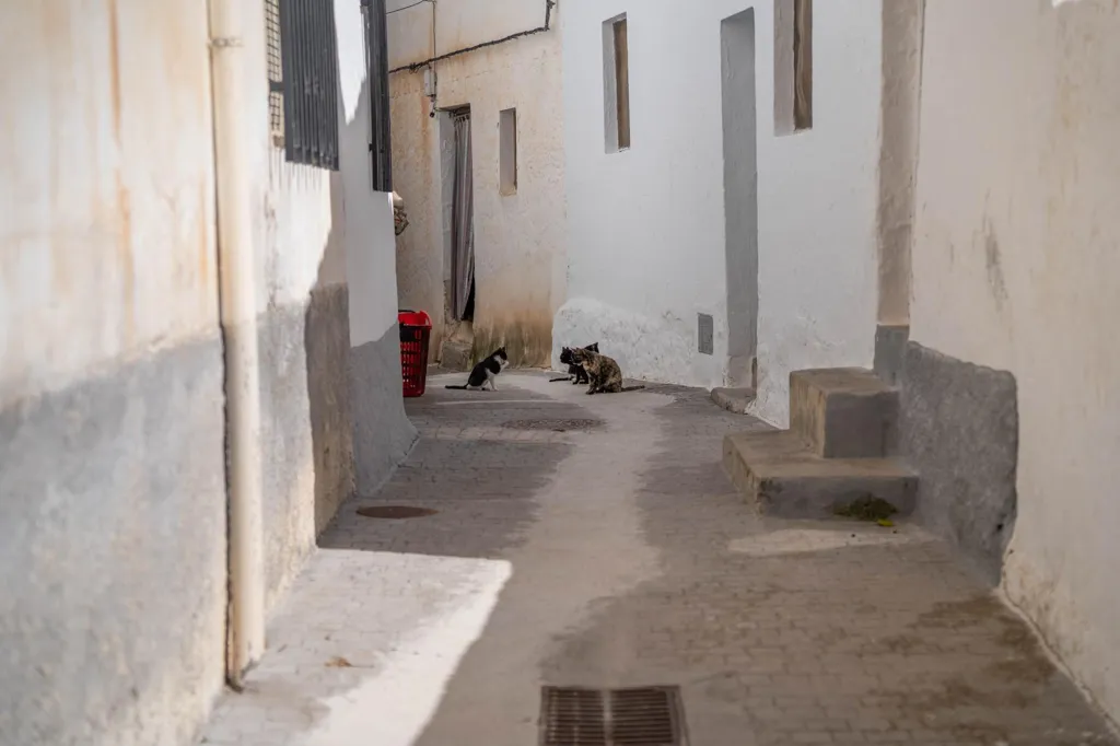 Extérieur - Two-Storey House with Terrace in Albuñuelas