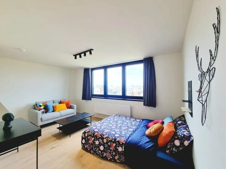Magamistoad - House in Leuven with Central Location