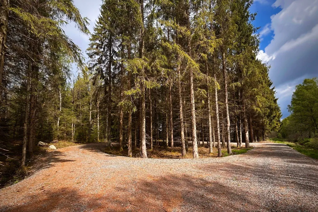 Esterno - Winter-Ready Cottage with Garden in Nature